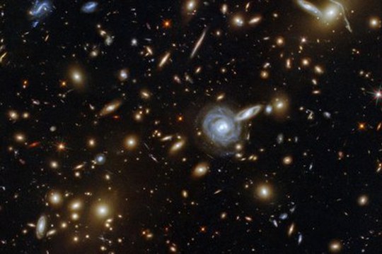 Scoperta l’antenata delle galassie sferoidali: nuovi indizi sul rapporto tra buchi neri e formazione stellare