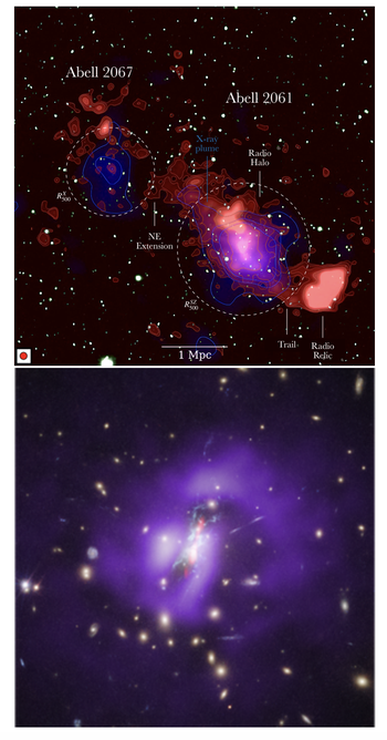 Immagini di ammassi di galassie ripresi al telescopio, in banda radio, X e ottica